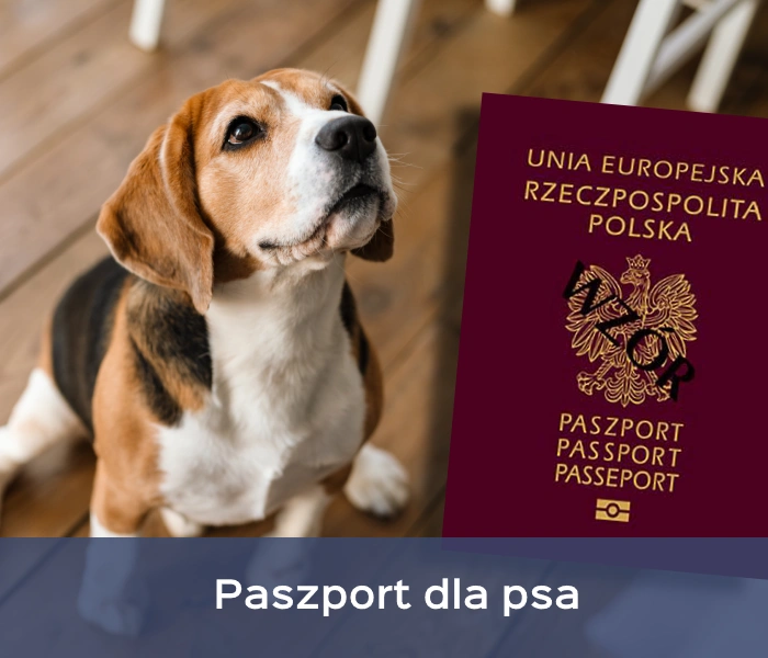 Paszport dla psa
